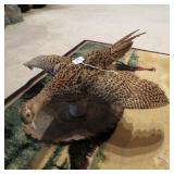 PHEASANT HEN WALL MOUNT