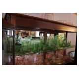 URANIUM GLASS COLLECTION