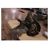 FLYING TURKEY MOUNT - NO SHIPPING