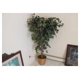 PLASTIC BUSH 64' TALL