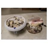CONTAINER OF SEA SHELLS AND CONCH LAMP