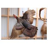 FLYING TURKEY MOUNT