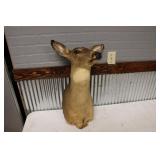 WHITETAIL DEER MOUNT