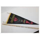 I SURVIVED THE BIG BAD WOLF PENNANT
