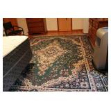 10FT 9" X 94IN AREA RUG