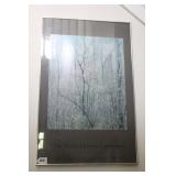 ELIOT PORTER FRAMED POSTER