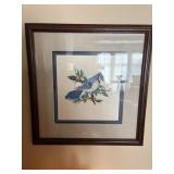 Original water color study of a Bluejay and Holly