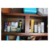 GARAGE LIQUIDS & PAINTS