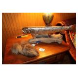 TROUT MOUNT AND COYOTE TAIL