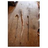 ASSORTED CANES & WALKING STICKS