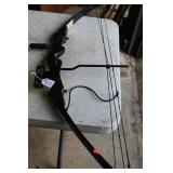 HOYT EASTON BUCK COMPOUND BOW
