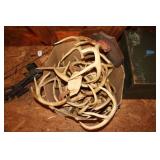 BOX OF OHIO DEER ANTLERS