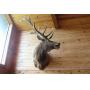 BAGELY ESTATE AUCTION ONLINE ONLY