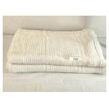 Summer Weave Cotton Twin Blanket