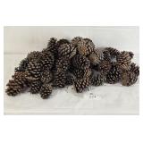 Large Lot of Pine Cones For Crafting