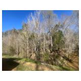 Online U. S. Bankruptcy Real Estate Auction Attala County, MS