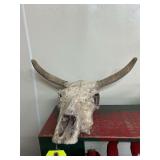 Weathered Longhorn Skull