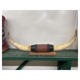 Mounted Longhorn Steer Horns with Decorative Leather Wrap