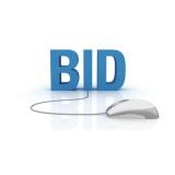 Please Read Before Bidding