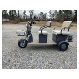 Two-Seat Electric Mobility Scooter