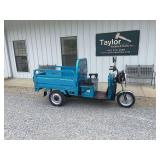 Electric Tricycle, IRET13