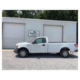2010  FORD  F-150 Truck