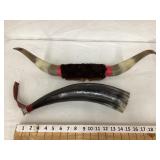 Horns & Powder Horn