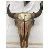 Decorated Native American Style Cow Skull, 22