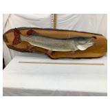 Northern Pike??? Fish Mount on Wood, Fish is