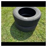 Michelin P25560R19 Radial Tire Pair