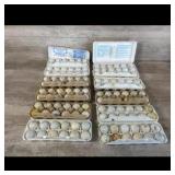 Golf Ball Assortment