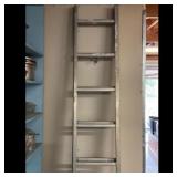 Silver Aluminum Extension Ladder