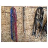 Leather Halter, Leads, Slow Livestock Feeder