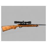 Ruger 10/22 22Lr Semi-Auto Rifle