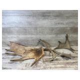 Antler Lot
