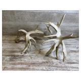 Set Of Deer Antlers