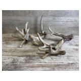 Set Of Deer Antlers