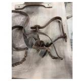 Harness with leather straps and metal buckles