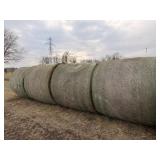 (4) Clover and Grass Round 5x5 Bales