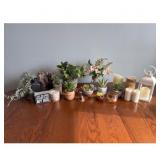 Plants Candles Lantern Decorative Items