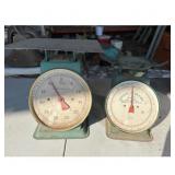 John Deere Vintage Green Scales