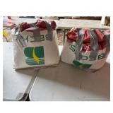 Becks Superior Seed Corn