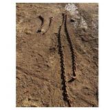 Rust Heavy-Duty TowSecurity Chains Set - Assorted