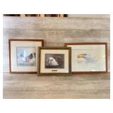 Framed Eagle Pictures