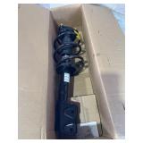 Strut and coil springs