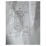 Strut and coil springs