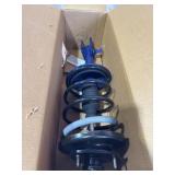Strut and coil spring 181598