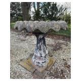 Bird Bath