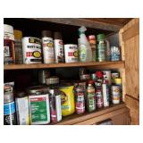 Paint, Mineral Spirits