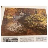 Remington Arms animal prints